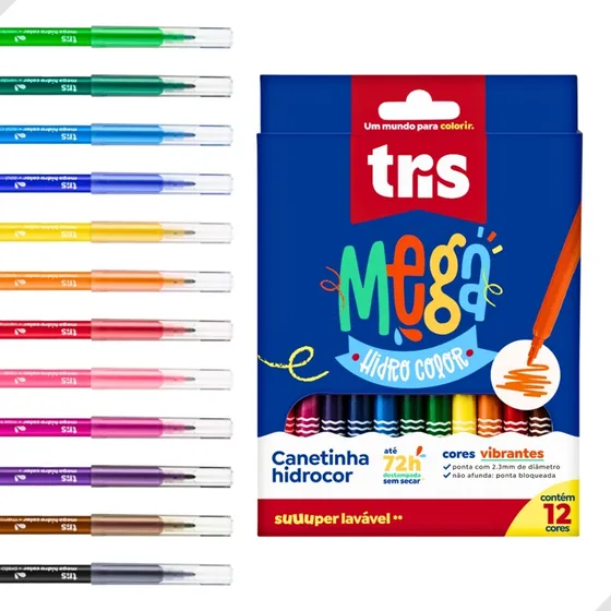 Canetinhas Coloridas Vibrantes Para Desenho Escola 12 Cores