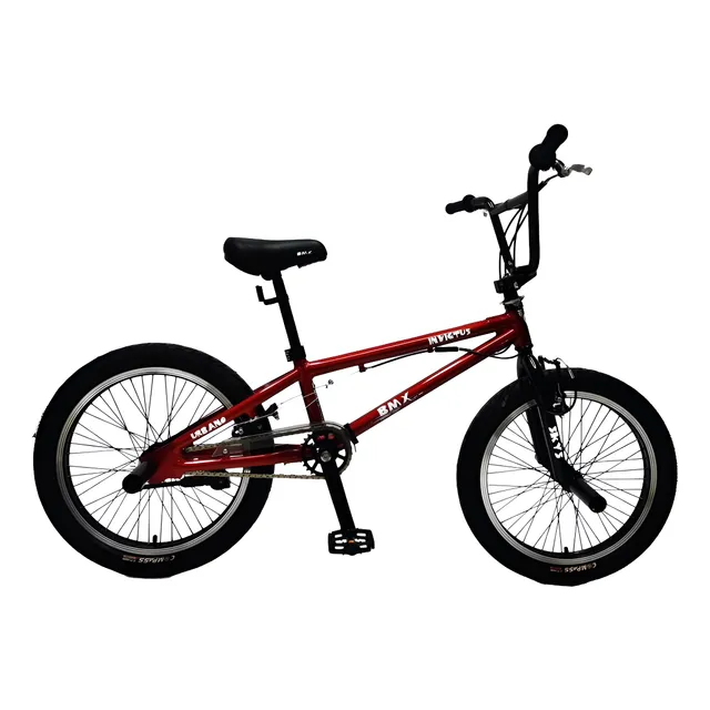 Bicicleta Bmx Aro 20 De Aluminio Freestyle Acrobática 