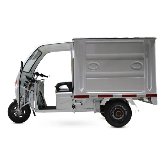 Motocarro Electrico Con Furgon