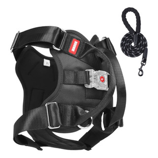 Collar Para Perros De Tamaño Ajustable Con Correa De 1,5 M. Collar Para Perros De Tamaño Ajustable Con Correa De 1,5 M.