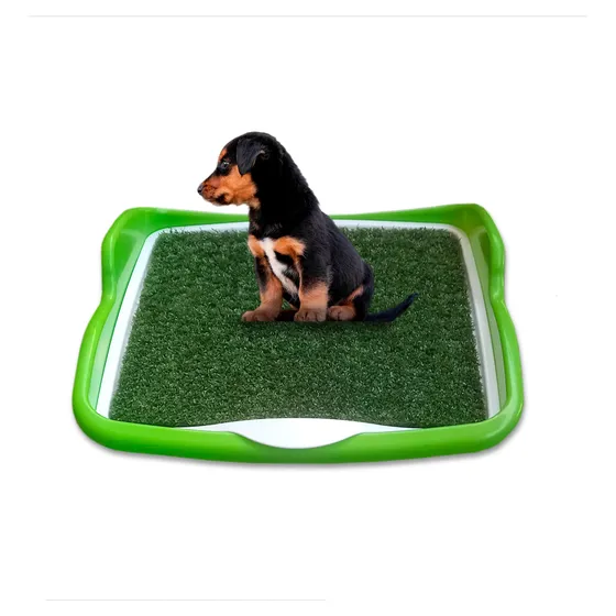 Bandeja Sanitaria Perro Chico O Cachorro Césped Sint. 40x40