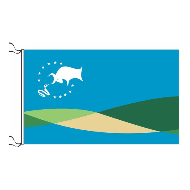 Bandera De Gualeguaychu Estampada De Flameo 150x90cm