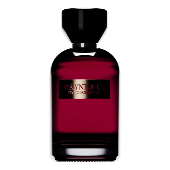 Perfume Hombre Try To Forget Me Edp Wayne & Co. X100ml