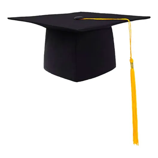 Birrete Gorro De Graduacion 23cm Belina