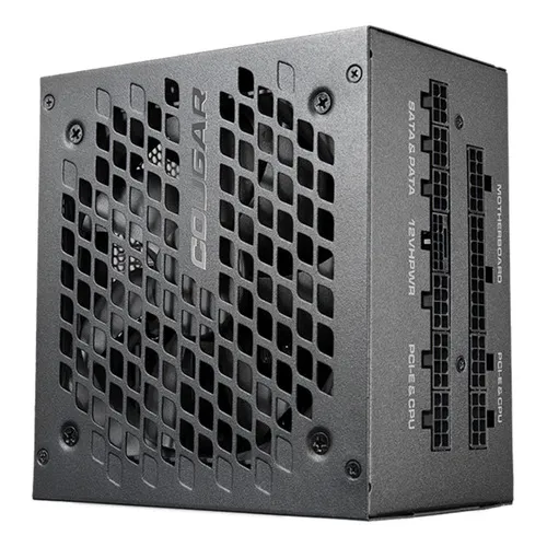 Fonte Cougar Gex X2 1000 80plus Gold Pci 5.0 Pfc Ativo Cor Preto 110V/220V