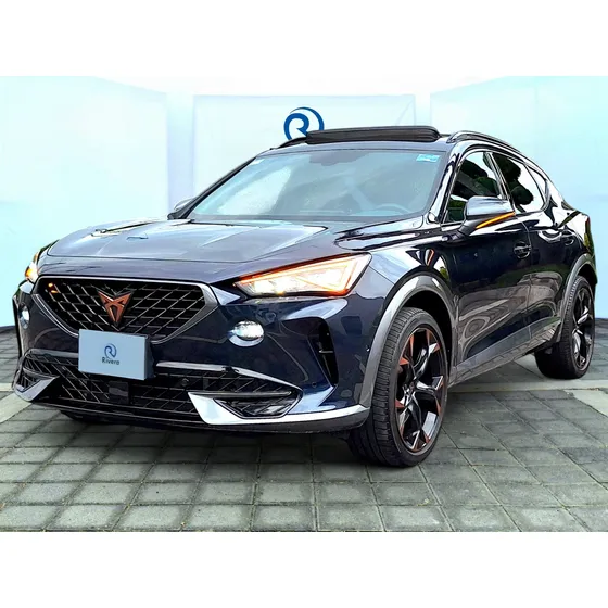 Cupra Formentor 310hp Vz 4wd