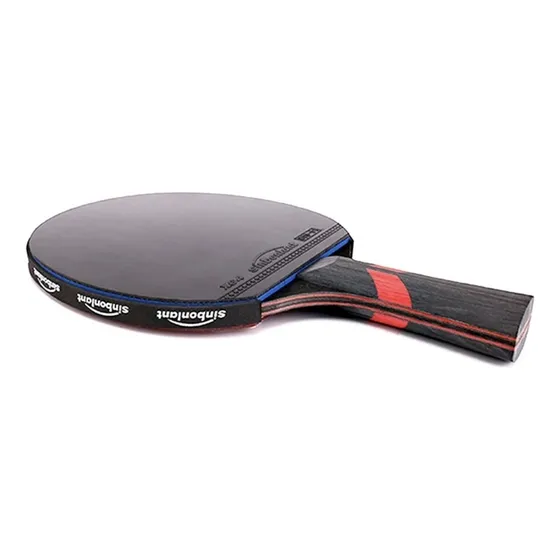 Raqueta De Tenis De Mesa Profesional, 6 Estrellas