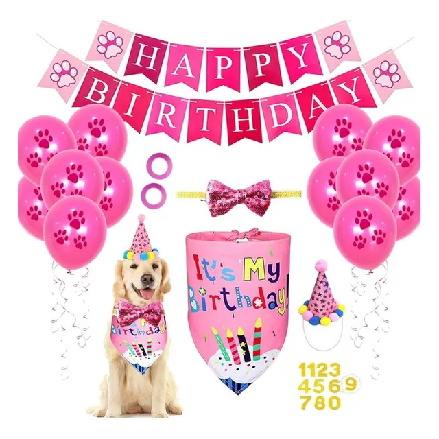 Kit Globo Decoracion Cumpleaños Para Mascotas Rosado Hembrita