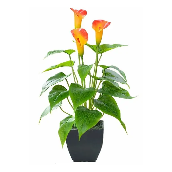 Beebel Flor Artificial Lirio Maceta Negra Para Casa