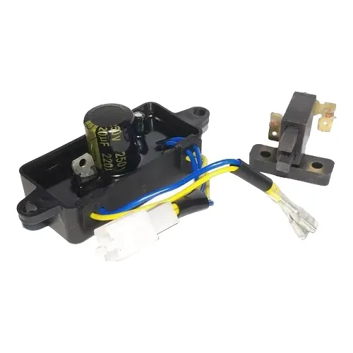Avr Regulador Planta De Luz 2500 Watts + Porta Carbón