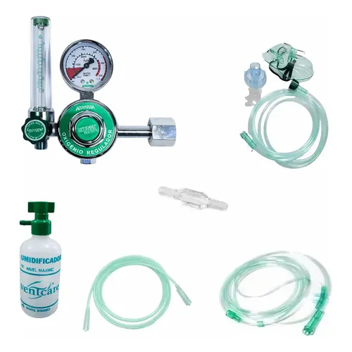 Portable 10g/h Ceramic Ozone Generator Double Integrated