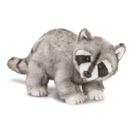 Nat Y Jules Arrastrando Gran Raccoon Amigo Niños 7id6q