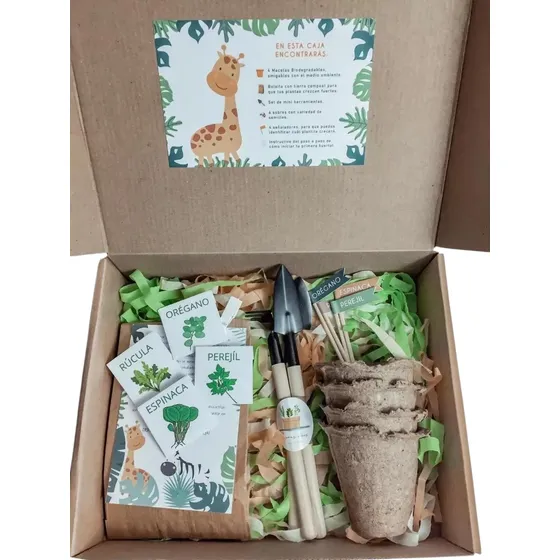 Kit Mi Primera Huerta Para Niños