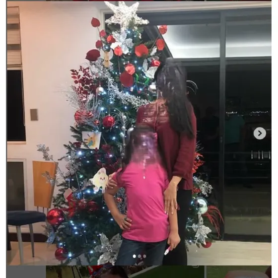 Arbolito De Navidad Con Muchos Accesorios Y 10 Juegos Luces