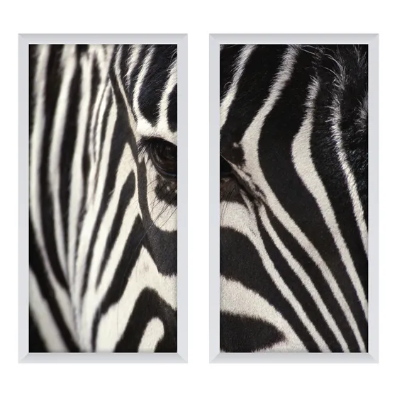 Composição 2 Quadros C/ Moldura Couro Zebra Preto Branco