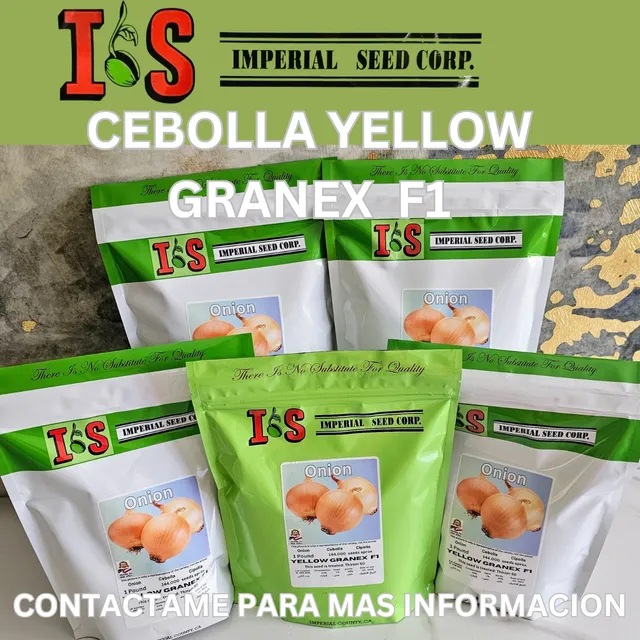 Cebolla Yellow Granex F1  Semilla Híbrida 200 Grs Y 1 Libra
