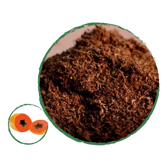 Turba Canadiense Especial Para Semillas De Papaya Maradol