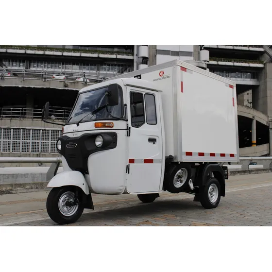 Bajaj Re Maxima C Petrol 2022