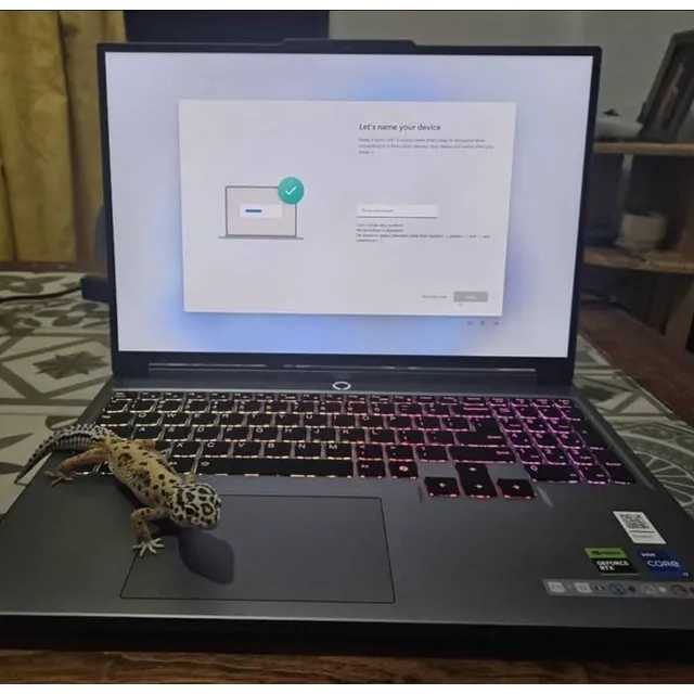 Lenovo Legion 5i 4070 Rtx Intel I9-14900hx 32gb Ram