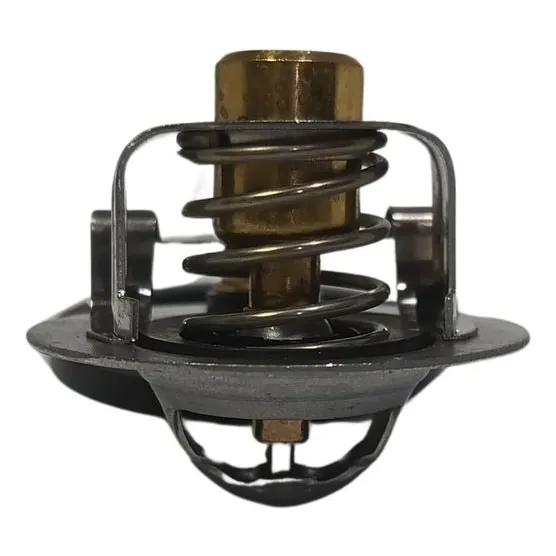 Termostato - Compatible Con: Kia Rio Spice, Chevrolet Grand 