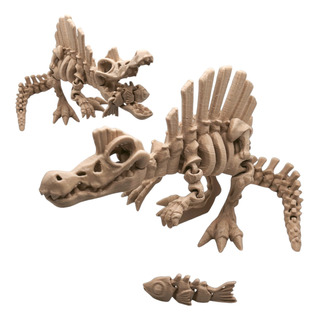 Dinossauro Espinossauro Esqueleto Articulado Flexi Toy Dino Dinossauro Espinossauro Esqueleto Articulado Flexi Toy Dino