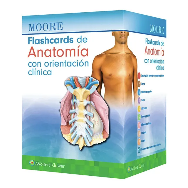 Moore Flashcrds De Anatomía Con Orientación Clínica, De Moore. Moore Editorial Wolters Kluwer, Tapa Dura, Edición 1 En Español, 2025