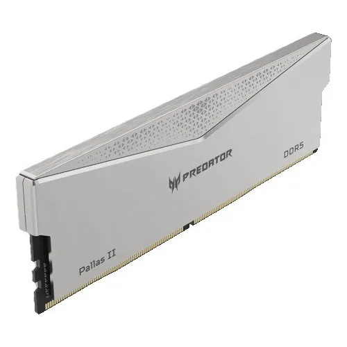 Ram Ddr5 Pallas Ii 6400mhz 2x16 32gb Silver Ecc Cl32