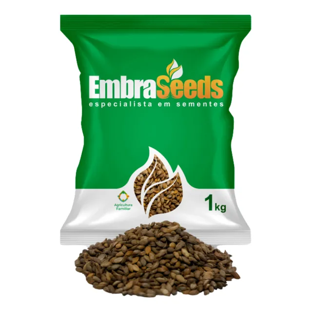 Sementes De Brachiaria Decumbens Basilisk Para Plantio 1kg