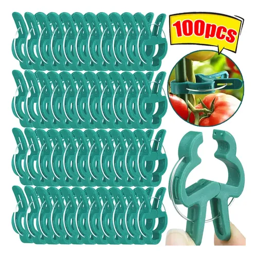 HAKIDZEL 10 Cajas De Enraizamiento Reutilizables Para Plantas: Ideales Para Acodos Y Esquejes De Rosales, árboles Y Frutales