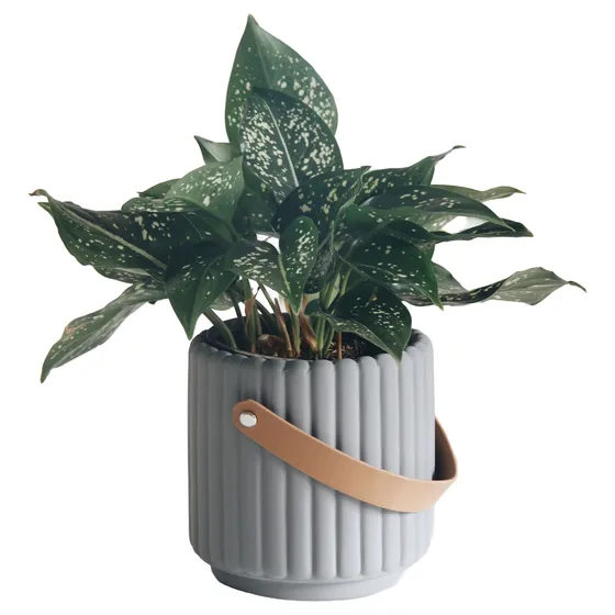 Maceta Nordica De Ceramica Moderna Varios Colores