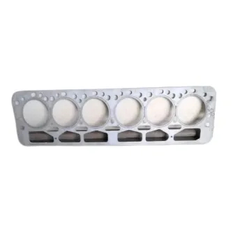 Empacadura De Camara Para Leyland 6cil