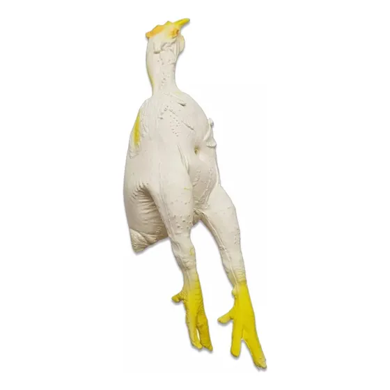 Brinquedo Para Cães E Gatos Frango Em Látex Atóxico - Latoy