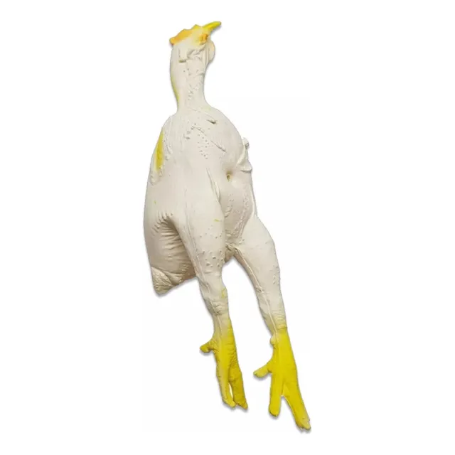 Brinquedo Para Cães E Gatos Frango Em Látex Atóxico - Latoy