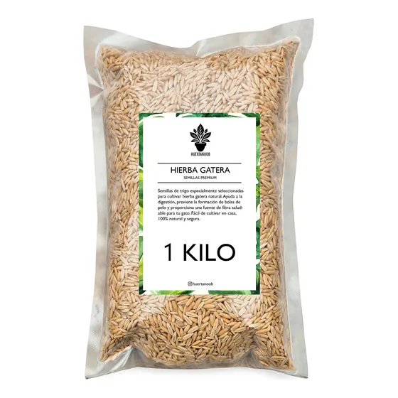 Semillas Hierba Gatera Trigo Para Gatos 1 Kilo Premium