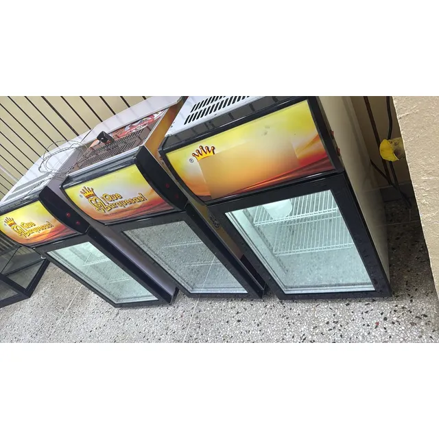 Neveras Ejecutivas Exhibidoras Para Congelación.