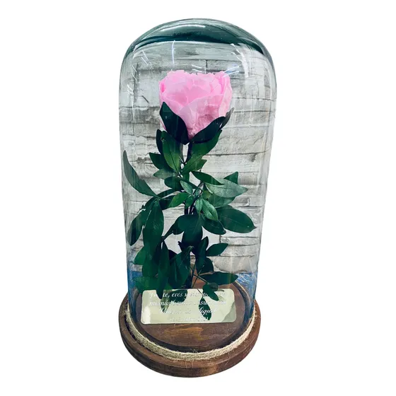 Peonia Eterna Capelo De 30 Cm