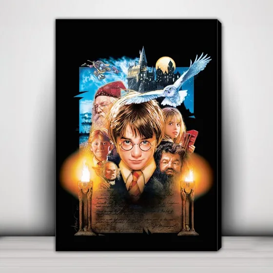 Cuadro Decorativo Harry Potter C523
