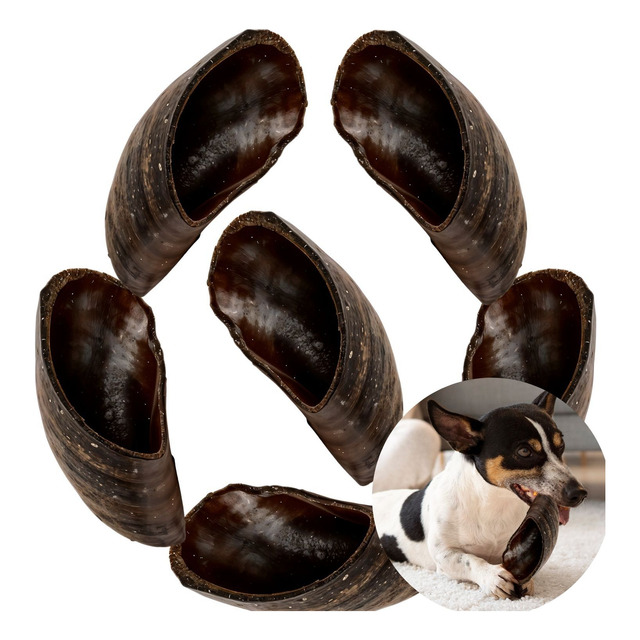 Mordedor Pet Natural 6un Casco De Boi Para Caes Bovino Mordedor Pet Natural 6un Casco De Boi Para Caes Bovino