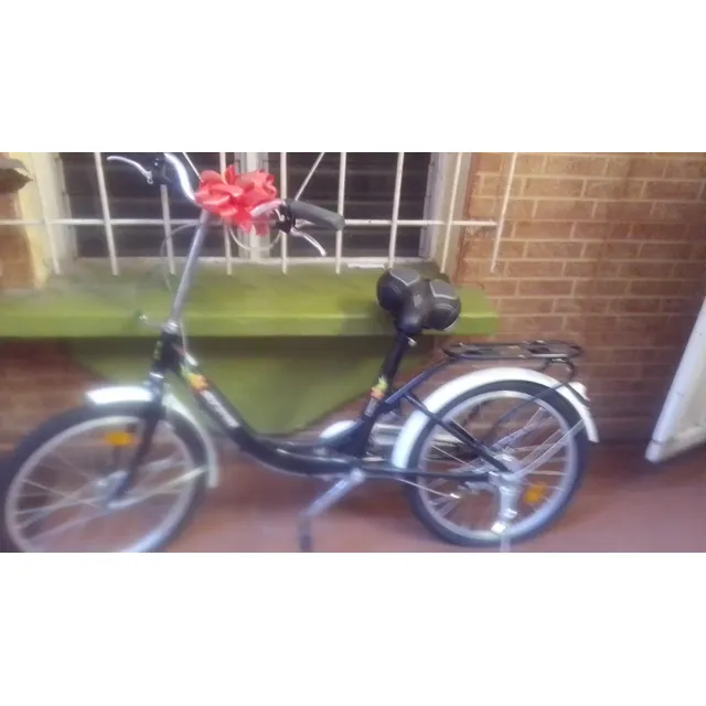 Bicicleta Rin 20.nueva