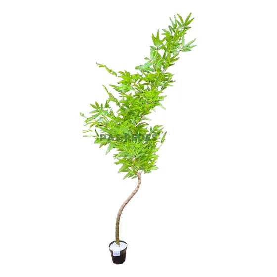 Árvore Bambu Mossô Artificial Tronco Natural Até 2,00m