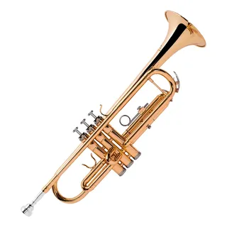 Trompete Michael Wtrm30 3 VĂĄlvulas Laqueado Com Capa Cor Dourado Trompete Michael Wtrm30 3 VĂĄlvulas Laqueado Com Capa Cor Dourado