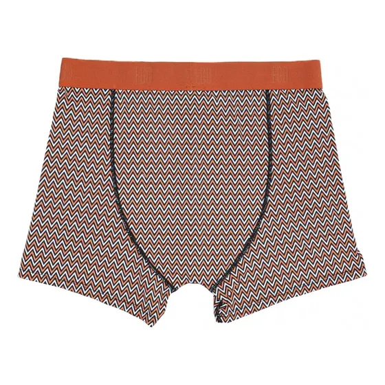 Boxer Seda Fría Hombre Ego Zigzag Tostado