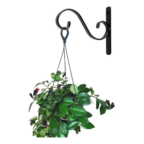 Gancho Suporte Rústico Pendurar Vaso Plantas Flores Arabesco