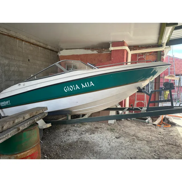 Lancha Starkraft Modelo 98 Motor Fuera De Borda Mercury 115