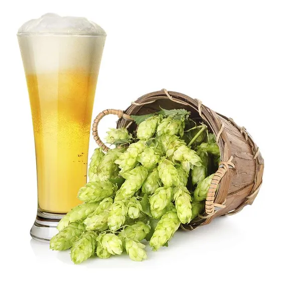 Plantas De Lupulos Cerveceros_adultas ×2u