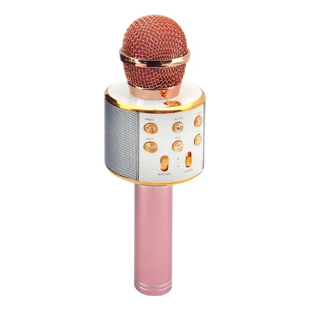 Microfono Parlante Karaoke Con Modificador De Voz.