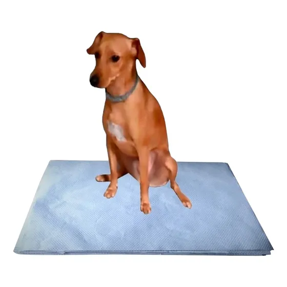 Papel Limpo P/cães 500uni Pipidog Pet Biodegradavel +brinde