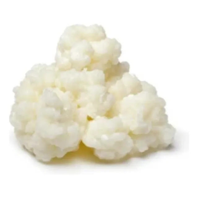 Gránulos O Búlgaros,kefir De Leche. Probioticos.