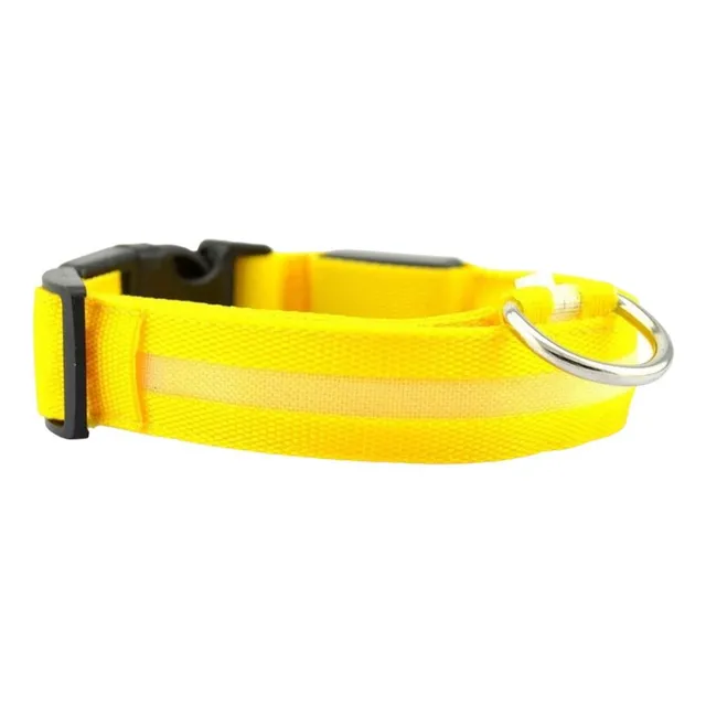 Collar Para Perros Con Iluminación Led 