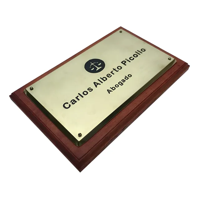Placa Profesional Para Estudios, Abogado, Medico. 25x15cm.